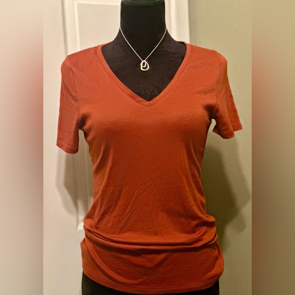 a new day V-Neck Short Sleeve Top in Rust